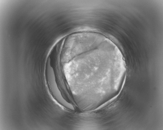 X0000063530863200602172241