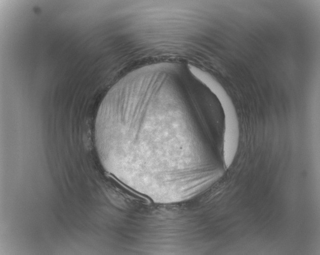 X0000063530868200602172240