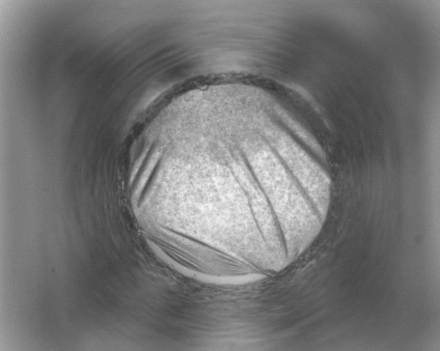 X0000063530871200602172240