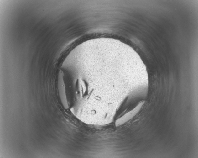 X0000063530872200602172240