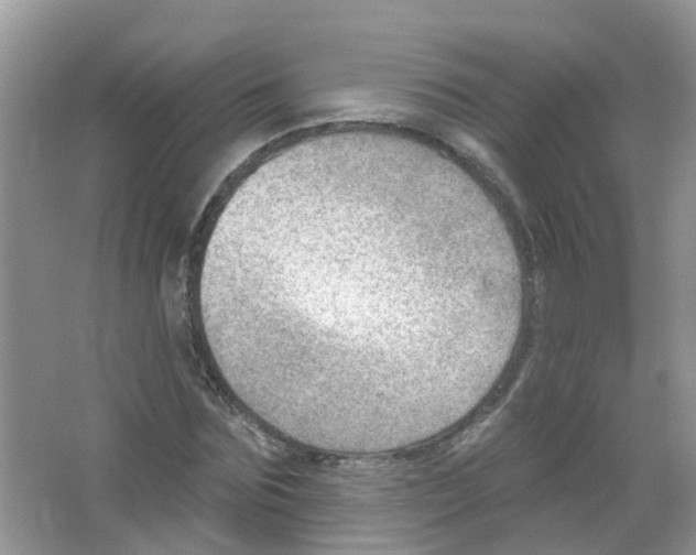 X0000063530875200602172240