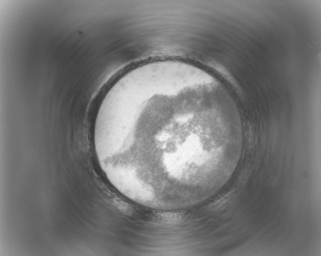 X0000063530878200602172240