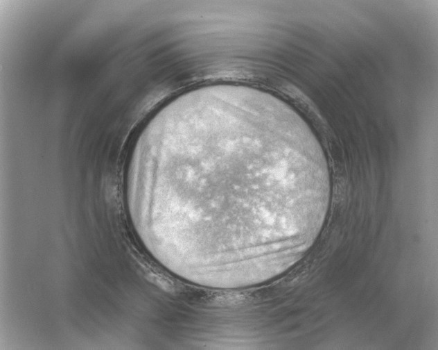 X0000063530882200602172240