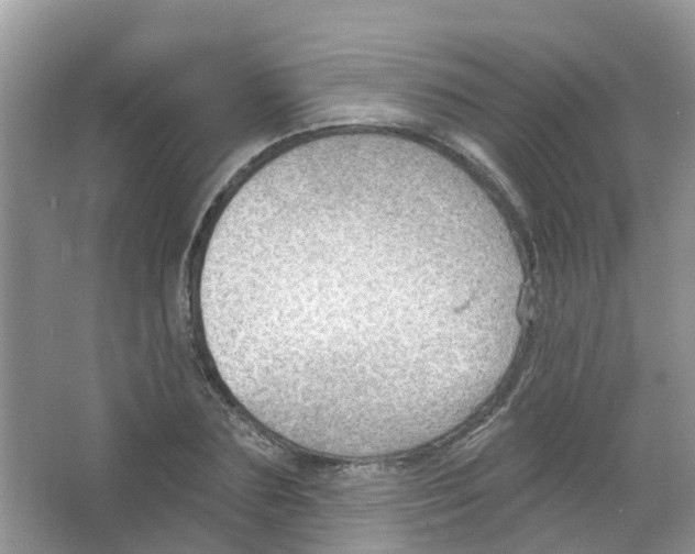 X0000063530883200602172240