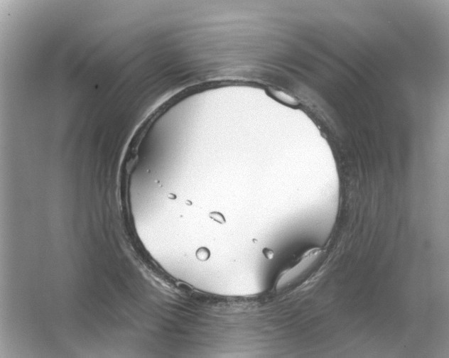 X0000063530884200602172240