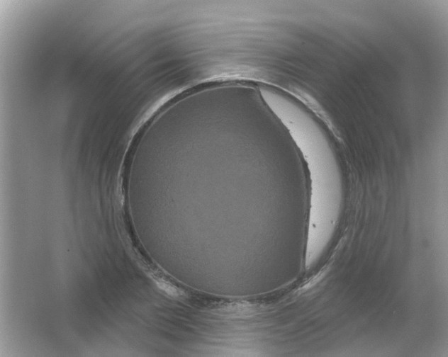 X0000063530885200602172240