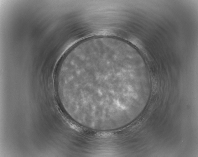 X0000063530886200602172240