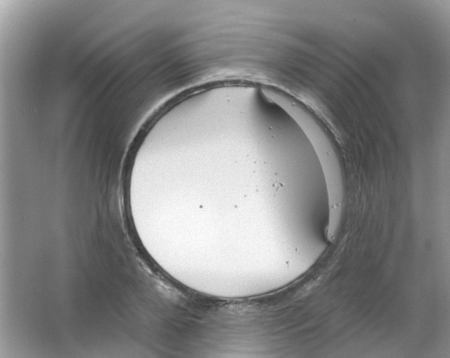 X0000063530888200602172240