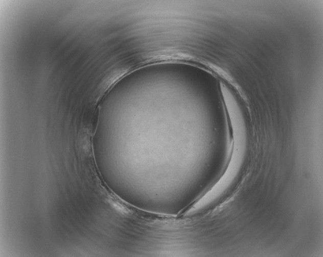 X0000063530889200602172239