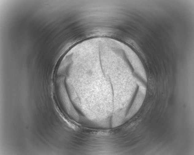 X0000063530890200602172239