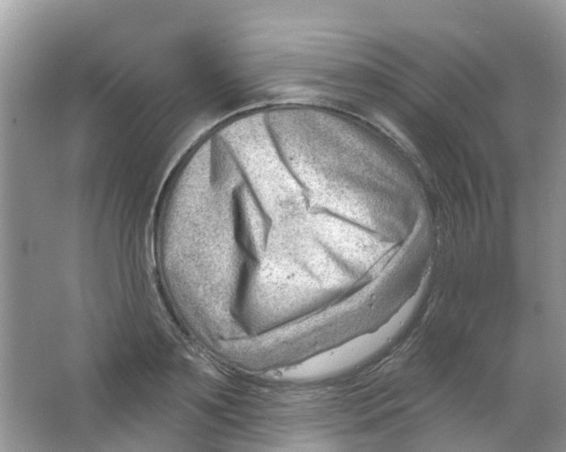 X0000063530891200602172239