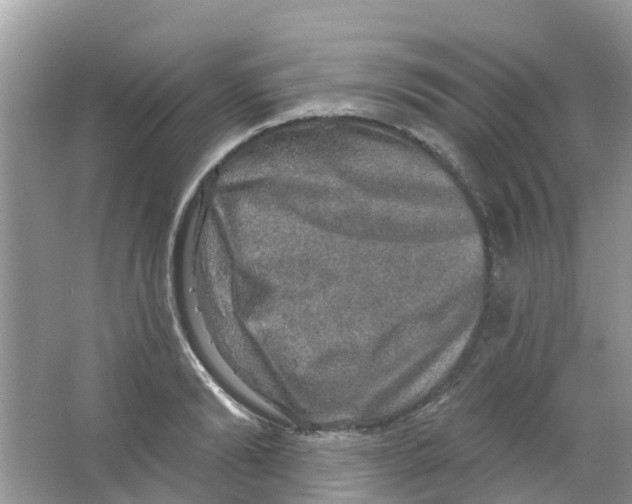 X0000063530894200602172239