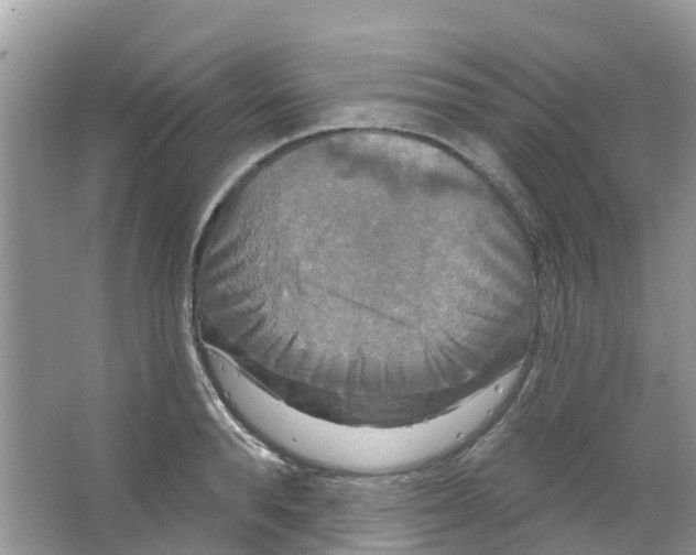 X0000063530896200602172239