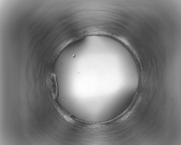 X0000063530897200602172239