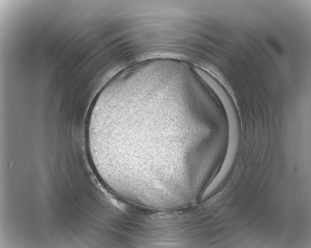 X0000063530898200602172239