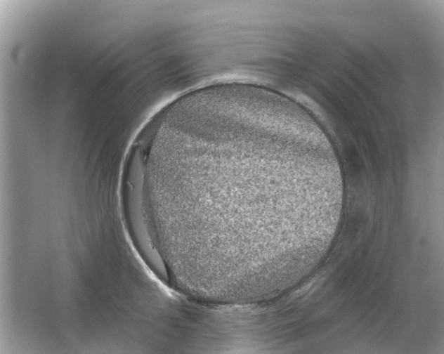 X0000063530902200602172239