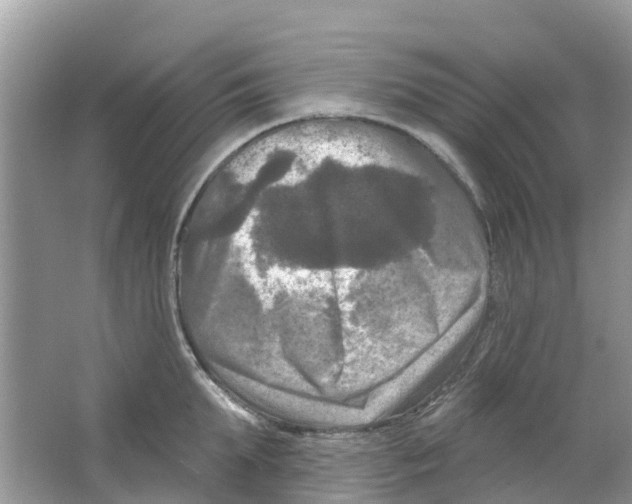 X0000063530903200602172239