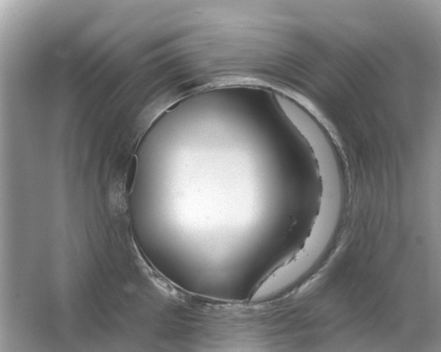 X0000063530905200602172239