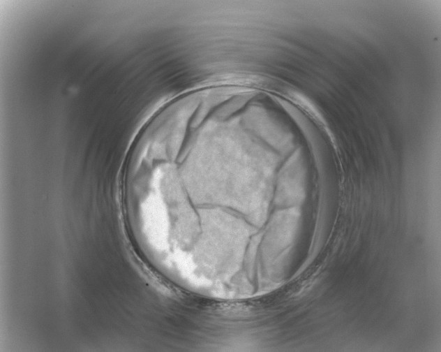 X0000063530907200602172239