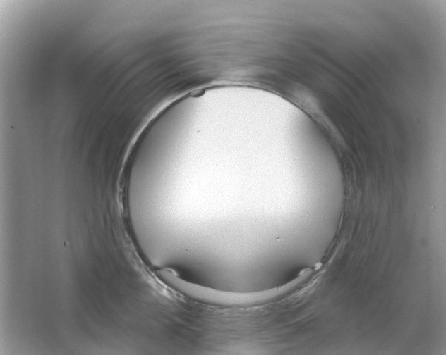 X0000063530908200602172239