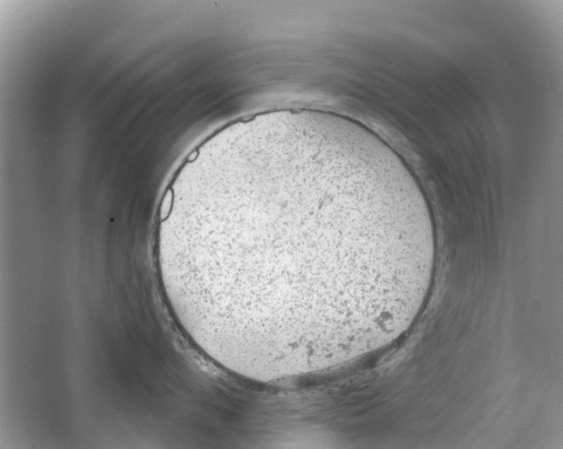 X0000063530912200602172239