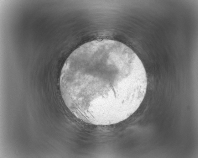 X0000063530913200602172238