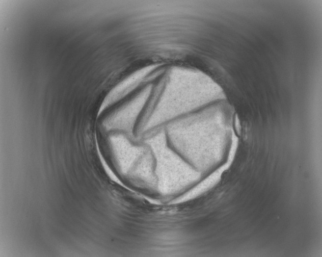 X0000063530915200602172238