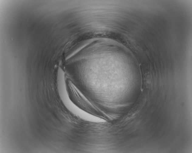 X0000063530916200602172238