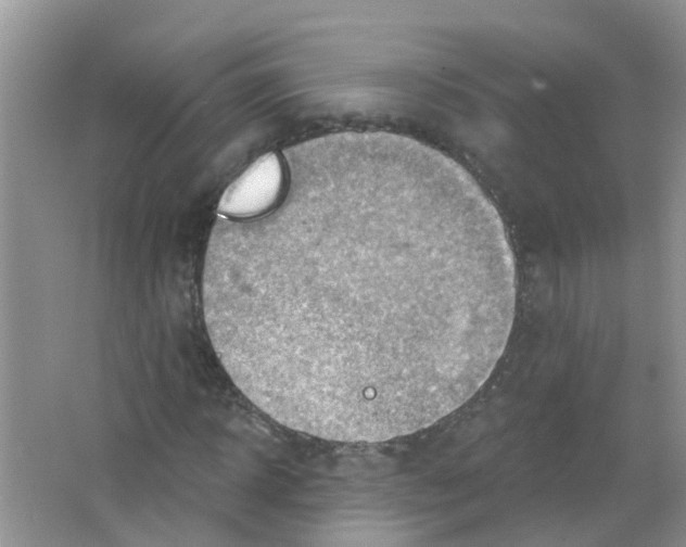 X0000063530918200602172238