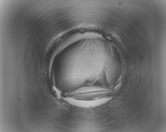 X0000063530920200602172238