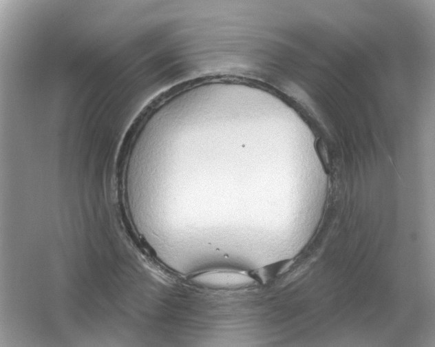 X0000063530924200602172238