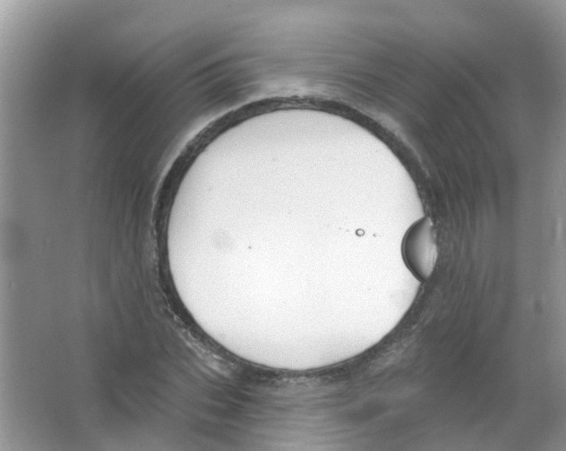 X0000063530927200602172238