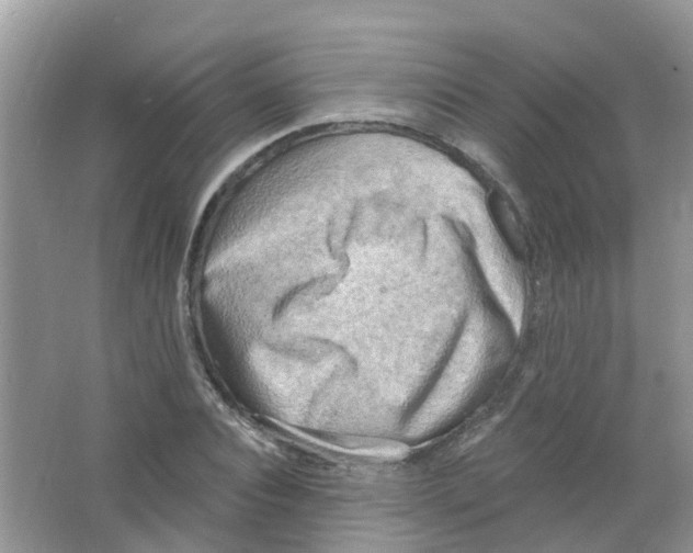 X0000063530928200602172239