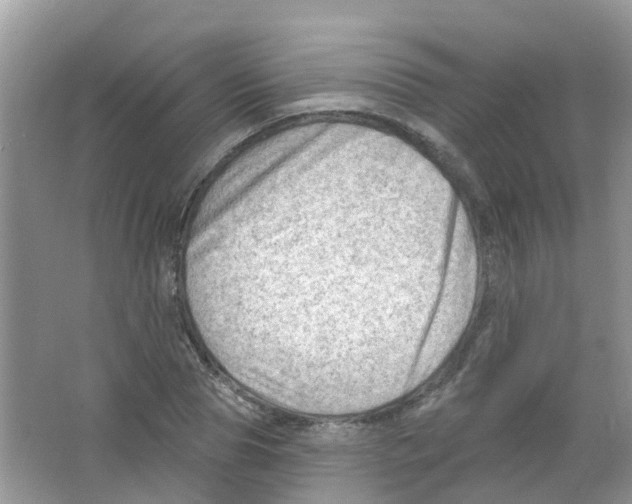 X0000063530929200602172239