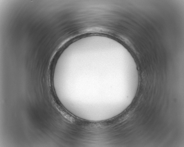 X0000063530931200602172239