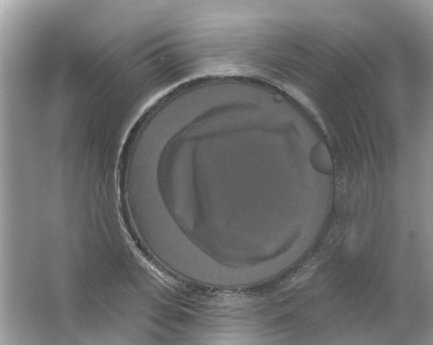 X0000063530935200602172239