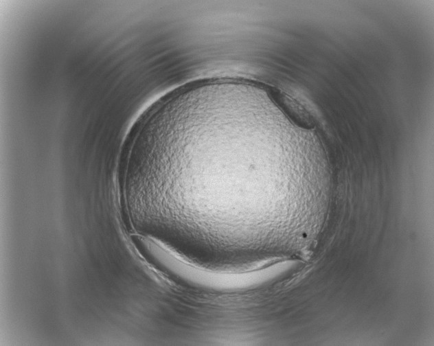 X0000063530936200602172239