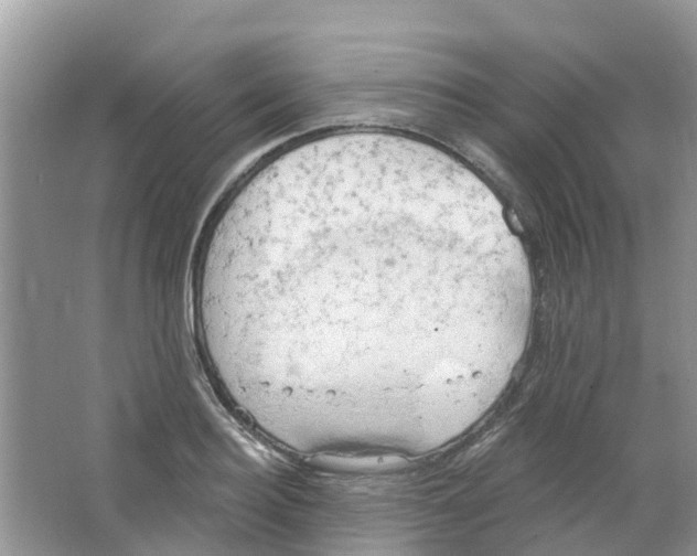 X0000063530940200602172239