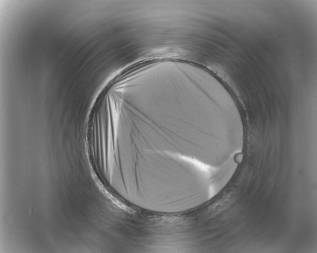 X0000063530941200602172239