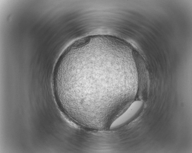 X0000063530942200602172239