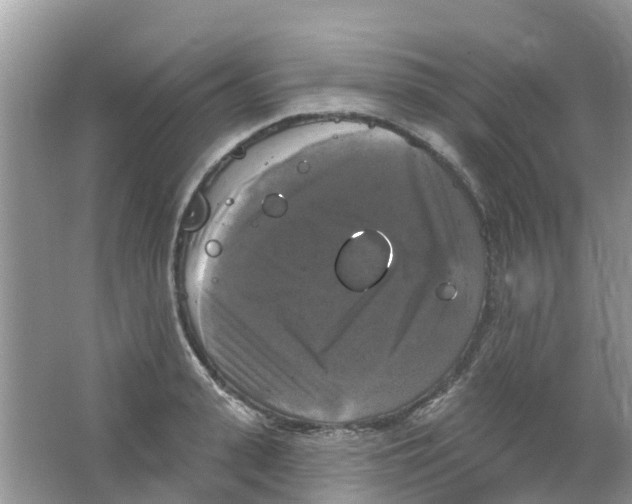 X0000063530943200602172239