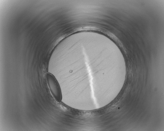 X0000063530945200602172239