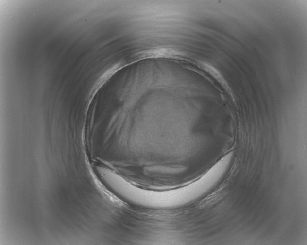 X0000063530946200602172239