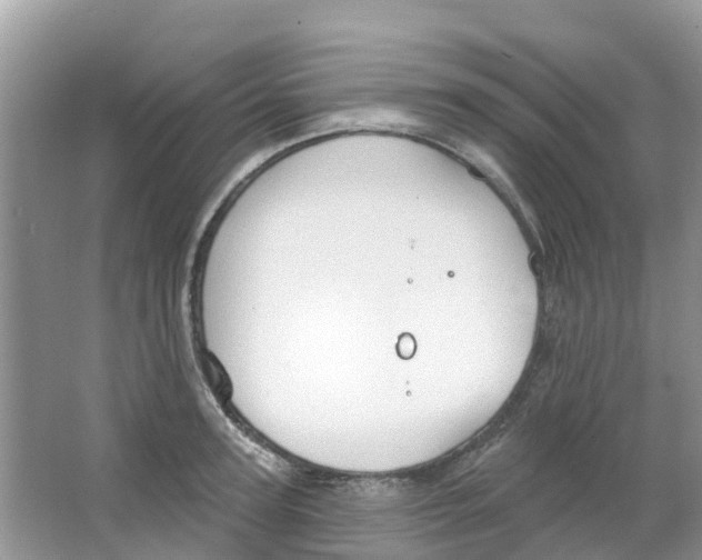 X0000063530947200602172239