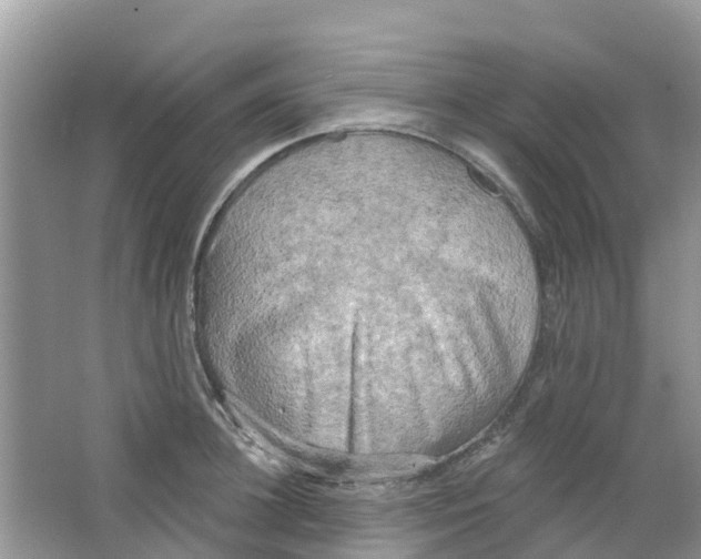 X0000063530948200602172239