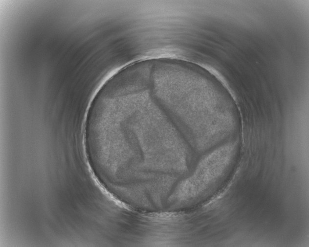 X0000063530949200602172239