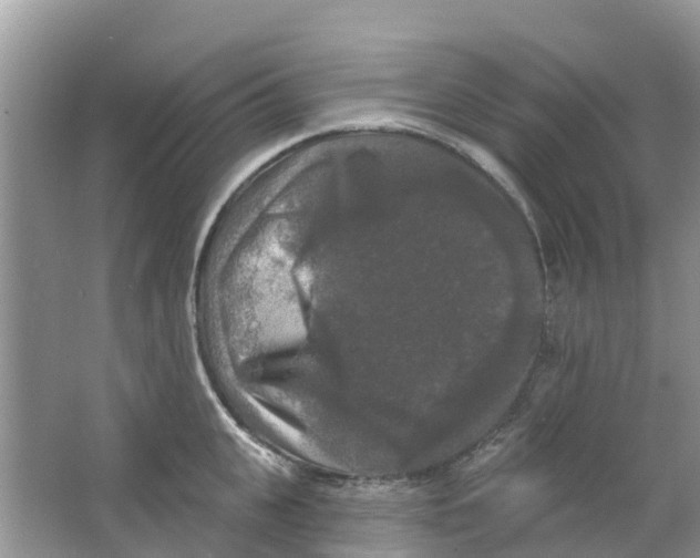 X0000063530951200602172239