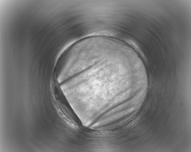 X0000063530952200602172239