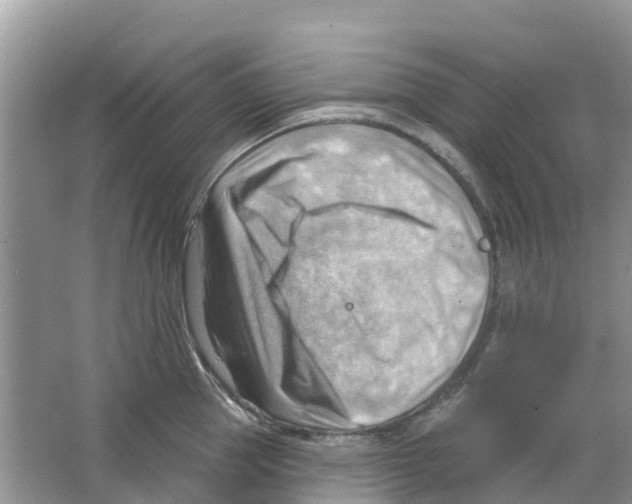 X0000063530953200602172239