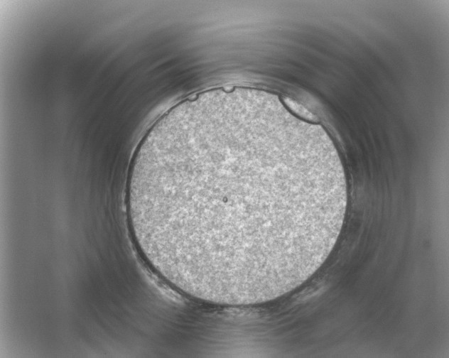 X0000063530954200602172239